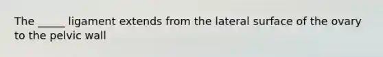 The _____ ligament extends from the lateral surface of the ovary to the pelvic wall