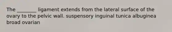 The ________ ligament extends from the lateral surface of the ovary to the pelvic wall. suspensory inguinal tunica albuginea broad ovarian