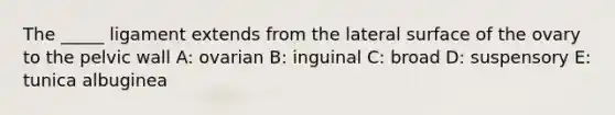 The _____ ligament extends from the lateral surface of the ovary to the pelvic wall A: ovarian B: inguinal C: broad D: suspensory E: tunica albuginea