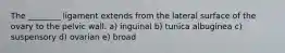 The ________ ligament extends from the lateral surface of the ovary to the pelvic wall. a) inguinal b) tunica albuginea c) suspensory d) ovarian e) broad