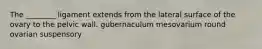 The ________ ligament extends from the lateral surface of the ovary to the pelvic wall. gubernaculum mesovarium round ovarian suspensory