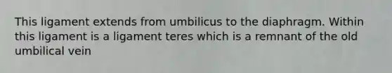 This ligament extends from umbilicus to the diaphragm. Within this ligament is a ligament teres which is a remnant of the old umbilical vein