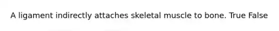 A ligament indirectly attaches skeletal muscle to bone. True False