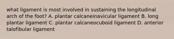 what ligament is most involved in sustaining the longitudinal arch of the foot? A. plantar calcaneinavicular ligament B. long plantar ligament C. plantar calcaneocuboid ligament D. anterior talofibular ligament