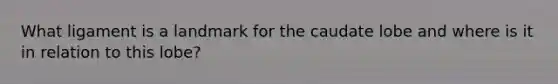 What ligament is a landmark for the caudate lobe and where is it in relation to this lobe?