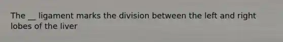 The __ ligament marks the division between the left and right lobes of the liver