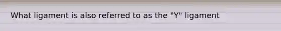 What ligament is also referred to as the "Y" ligament