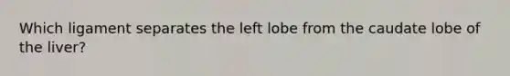 Which ligament separates the left lobe from the caudate lobe of the liver?