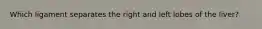 Which ligament separates the right and left lobes of the liver?