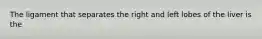 The ligament that separates the right and left lobes of the liver is the