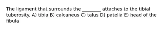 The ligament that surrounds the ________ attaches to the tibial tuberosity. A) tibia B) calcaneus C) talus D) patella E) head of the fibula