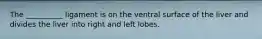 The __________ ligament is on the ventral surface of the liver and divides the liver into right and left lobes.