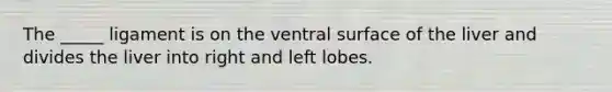 The _____ ligament is on the ventral surface of the liver and divides the liver into right and left lobes.