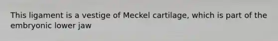 This ligament is a vestige of Meckel cartilage, which is part of the embryonic lower jaw