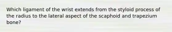 Which ligament of the wrist extends from the styloid process of the radius to the lateral aspect of the scaphoid and trapezium bone?