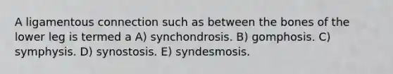 A ligamentous connection such as between the bones of the lower leg is termed a A) synchondrosis. B) gomphosis. C) symphysis. D) synostosis. E) syndesmosis.