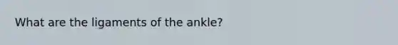 What are the ligaments of the ankle?