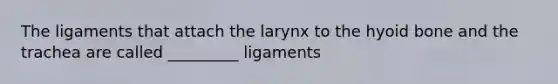 The ligaments that attach the larynx to the <a href='https://www.questionai.com/knowledge/kVV1acPC4Z-hyoid-bone' class='anchor-knowledge'>hyoid bone</a> and the trachea are called _________ ligaments