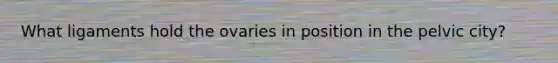 What ligaments hold the ovaries in position in the pelvic city?