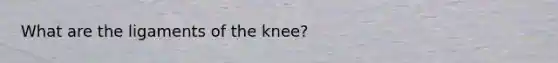 What are the ligaments of the knee?