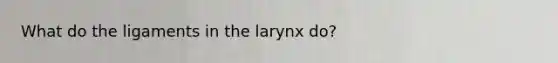 What do the ligaments in the larynx do?