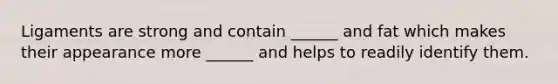 Ligaments are strong and contain ______ and fat which makes their appearance more ______ and helps to readily identify them.