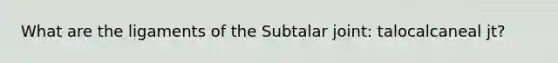 What are the ligaments of the Subtalar joint: talocalcaneal jt?