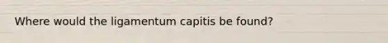 Where would the ligamentum capitis be found?