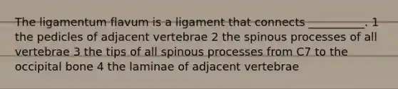 The ligamentum flavum is a ligament that connects __________. 1 the pedicles of adjacent vertebrae 2 the spinous processes of all vertebrae 3 the tips of all spinous processes from C7 to the occipital bone 4 the laminae of adjacent vertebrae