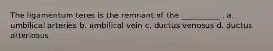 The ligamentum teres is the remnant of the __________ . a. umbilical arteries b. umbilical vein c. ductus venosus d. ductus arteriosus