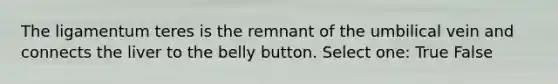 The ligamentum teres is the remnant of the umbilical vein and connects the liver to the belly button. Select one: True False