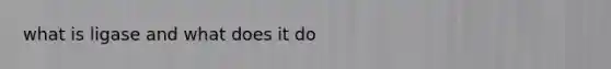 what is ligase and what does it do