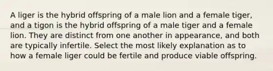 A liger is the hybrid offspring of a male lion and a female tiger, and a tigon is the hybrid offspring of a male tiger and a female lion. They are distinct from one another in appearance, and both are typically infertile. Select the most likely explanation as to how a female liger could be fertile and produce viable offspring.