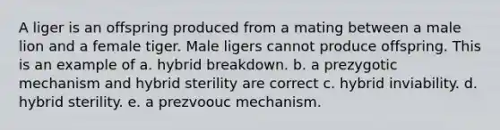 A liger is an offspring produced from a mating between a male lion and a female tiger. Male ligers cannot produce offspring. This is an example of a. hybrid breakdown. b. a prezygotic mechanism and hybrid sterility are correct c. hybrid inviability. d. hybrid sterility. e. a prezvoouc mechanism.