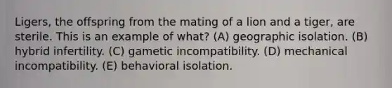 Ligers, the offspring from the mating of a lion and a tiger, are sterile. This is an example of what? (A) geographic isolation. (B) hybrid infertility. (C) gametic incompatibility. (D) mechanical incompatibility. (E) behavioral isolation.