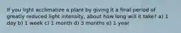 If you light acclimatize a plant by giving it a final period of greatly reduced light intensity, about how long will it take? a) 1 day b) 1 week c) 1 month d) 3 months e) 1 year