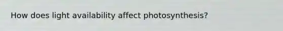 How does light availability affect photosynthesis?