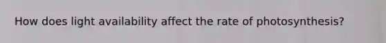 How does light availability affect the rate of photosynthesis?