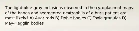 The light blue-gray inclusions observed in the cytoplasm of many of the bands and segmented neutrophils of a burn patient are most likely? A) Auer rods B) Dohle bodies C) Toxic granules D) May-Hegglin bodies