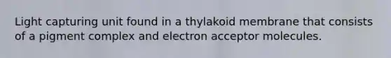 Light capturing unit found in a thylakoid membrane that consists of a pigment complex and electron acceptor molecules.