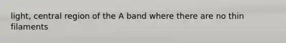 light, central region of the A band where there are no thin filaments