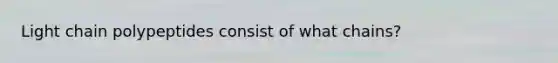 Light chain polypeptides consist of what chains?