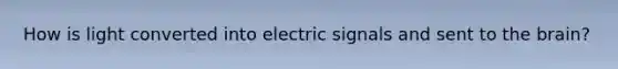 How is light converted into electric signals and sent to <a href='https://www.questionai.com/knowledge/kLMtJeqKp6-the-brain' class='anchor-knowledge'>the brain</a>?