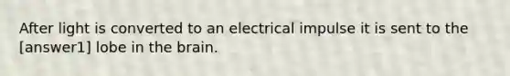 After light is converted to an electrical impulse it is sent to the [answer1] lobe in <a href='https://www.questionai.com/knowledge/kLMtJeqKp6-the-brain' class='anchor-knowledge'>the brain</a>.