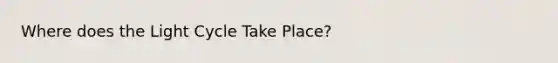 Where does the Light Cycle Take Place?