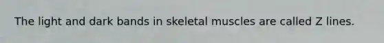 The light and dark bands in skeletal muscles are called Z lines.