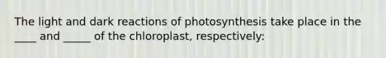 The light and dark reactions of photosynthesis take place in the ____ and _____ of the chloroplast, respectively: