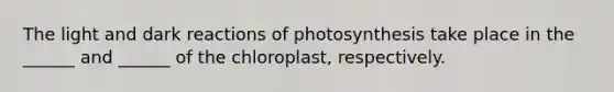 The light and dark reactions of photosynthesis take place in the ______ and ______ of the chloroplast, respectively.