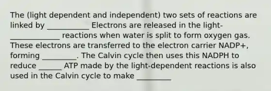 The (light dependent and independent) two sets of reactions are linked by ___________ Electrons are released in the light-_____________ reactions when water is split to form oxygen gas. These electrons are transferred to the electron carrier NADP+, forming _________. The Calvin cycle then uses this NADPH to reduce ______ ATP made by the light-dependent reactions is also used in the Calvin cycle to make _________