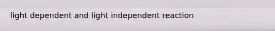 light dependent and light independent reaction